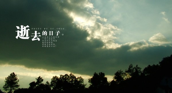 2023全新仿短視影視模版源碼