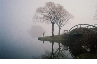 TOP10!盤點2025上半年評分最高的10部劇,你看過幾部?